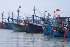 Comunidad pesquera vietnamita comprometida con combatir la pesca ilegal 