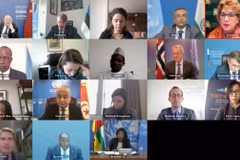 Vietnam pide resolver los conflictos en la República Centroafricana mediante el diálogo