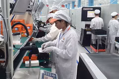 Programa Nacional de Innovación Tecnológica promueve el emprendimiento