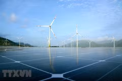 Energía verde, una tendencia en el desarrollo sostenible