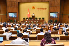 Panorama de la sesión (Foto: VNA)