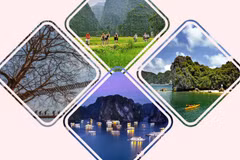 Cuatro experiencias interesantes a probar en Vietnam