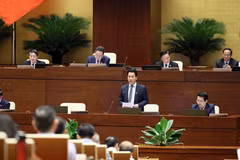 El ministro vietnamita de Recursos Naturales y Medio Ambiente, Dang Quoc Khanh, interviene en la sesión. (Foto: VNA)