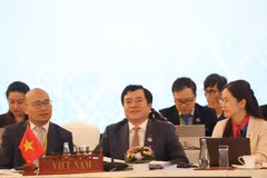 La delegación vietnamita en la cita (Foto: VNA)