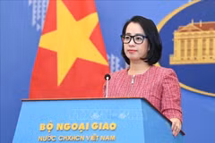 La portavoz de la Cancillería, Pham Thu Hang. (Foto: VNA)
