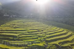 Descubren la reserva natural de Pu Luong en provincia de Thanh Hoa 