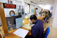OIT: COVID-19 arrasa con 305 millones de empleos en el segundo trimestre de 2020