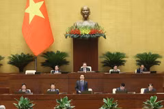El vicepremier Tran Hong Ha interviene en la reunión (Foto: VNA)