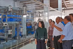Delegación de Laos visita la empresa de Viet-Uc Ca Mau (Foto: VNA)
