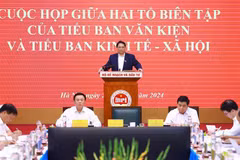 El primer ministro de Vietnam, Pham Minh Chinh, interviene en la sesión de trabajo (Fuente: VNA)