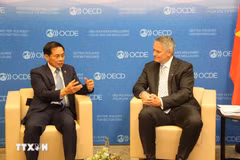 El ministro de Asuntos Exteriores, Bui Thanh Son (izquierda), y el secretario general de la OCDE, Mathias Cormann. (Foto: VNA)