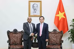 El viceprimer ministro Tran Luu Quang (derecha) y el director del BAD para Vietnam, Shantanu Chakraborty. (Foto: VNA)