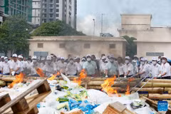 Camboya quema drogas por valor de 22,7 millones de dólares (Foto: english.news.cn)