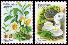 Dos muestras de sellos presentan la cultura y las plantas de té de Vietnam. (Foto: Corporación Postal de Vietnam)