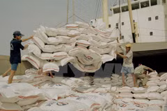 Vietnam prevé producir 44,1 millones de toneladas de arroz en 2017