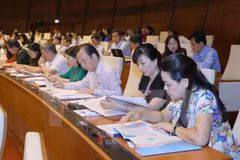 Asamblea Nacional de Vietnam continúa debates sobre proyectos de leyes