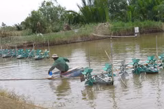 Vietnam acelera la modernización de nuevas zonas rurales