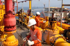 Industria gasífera de Vietnam apuesta por ahorro energético y desarrollo sostenible 