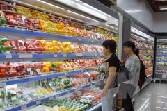 Ciudad Ho Chi Minh reporta alto aumento de índice de producción industrial