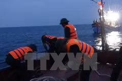 Rescatan a marineros vietnamitas accidentados en el mar 