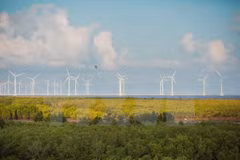 Perspectivas de cooperación entre Vietnam y Alemania en energías renovables