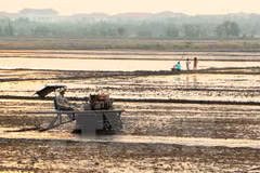 Vietnam y UNICEF por reducir efectos de desastres naturales en niños 