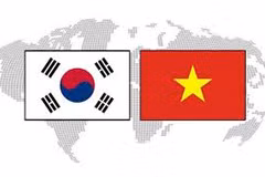 Fanáticos de Hallyu se deleitarán en Festival Cultural Vietnam- Sudcorea