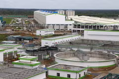 Vietnam y Estados Unidos exploran oportunidad de cooperación en bioenergía
