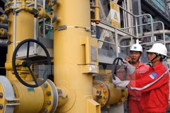 Publican informe de perspectivas energéticas de Vietnam 2017