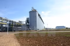 Dak Nong ingresa 50 millones de dólares por exportación de aluminio