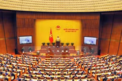 Parlamento vietnamita analiza reforma de aparato estatal