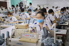 Industria de confección textil de Vietnam sigue desarrollando pese a dificultades