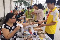 Hanoi efectúa “Día de Reciclaje 2017” 