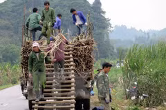 Provincia vietnamita construirá casas para pobladores de minorías étnicas