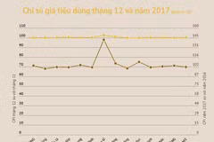 Vietnam logra controlar tasa de inflación en 2017