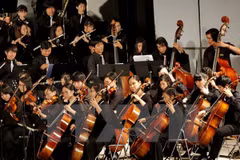 Celebrarán en Vietnam concierto de música clásica por Día de Rusia 