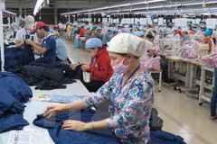 Vietnam e India intensifican cooperación en sector de confecciones textiles