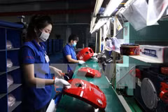 Vietnam promulga plan de perfeccionamiento de economía de mercado con orientación socialista