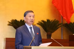 Parlamento vietnamita interpela a jefe del Tribunal Popular Supremo 