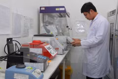 Vietnam impulsará el control de enfermedades infecciosas