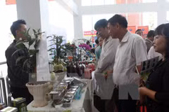 Vietnam impulsa desarrollo agrícola basado en los avances tecnológicos