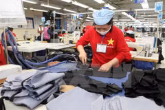 Vietnam: Más 61 mil empresas nuevas creadas en primer semestre de 2017