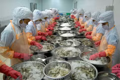 Estados Unidos rescinde parte de impuestos antidumping sobre camarones de Vietnam