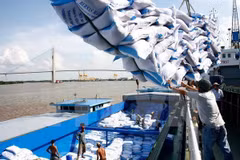 Vietnam y Tailandia buscan impulsar intercambio comercial