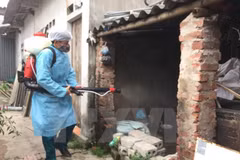 Hanoi refuerza medidas para prevenir propagación del dengue