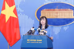 Vietnam protege derechos de sus ciudadanos en Qatar 
