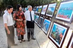 Vietnam busca mejorar conciencia pública sobre protección de soberanía marítima