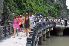 Vietnam por convertir turismo en sector económico clave