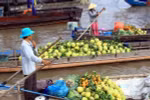 Vietnam aboga por optimizar recursos para el desarrollo del delta de Mekong