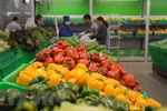 Exportaciones hortofrutícolas de Vietnam alcanzan 1,4 mil millones de dólares